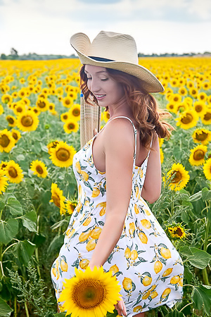 Red Fox Sunflower Fields The Emily Bloom